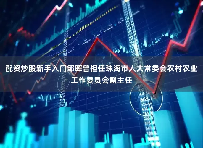 配资炒股新手入门邹晖曾担任珠海市人大常委会农村农业工作委员会副主任