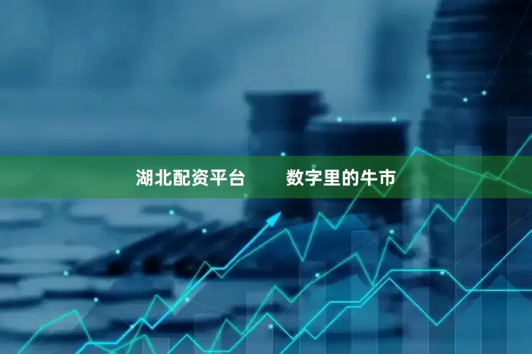 湖北配资平台        数字里的牛市