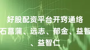 好股配资平台开窍通络：石菖蒲、远志、郁金、益智仁